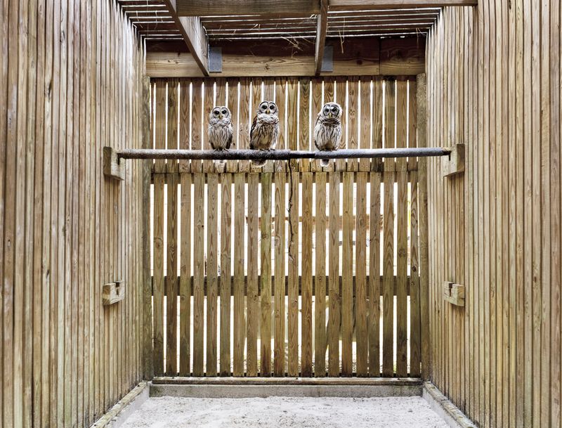 © Jayanti Seiler - Image from the Of One and The Other photography project