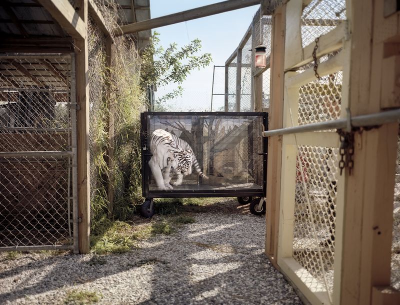 © Jayanti Seiler - Image from the Of One and The Other photography project