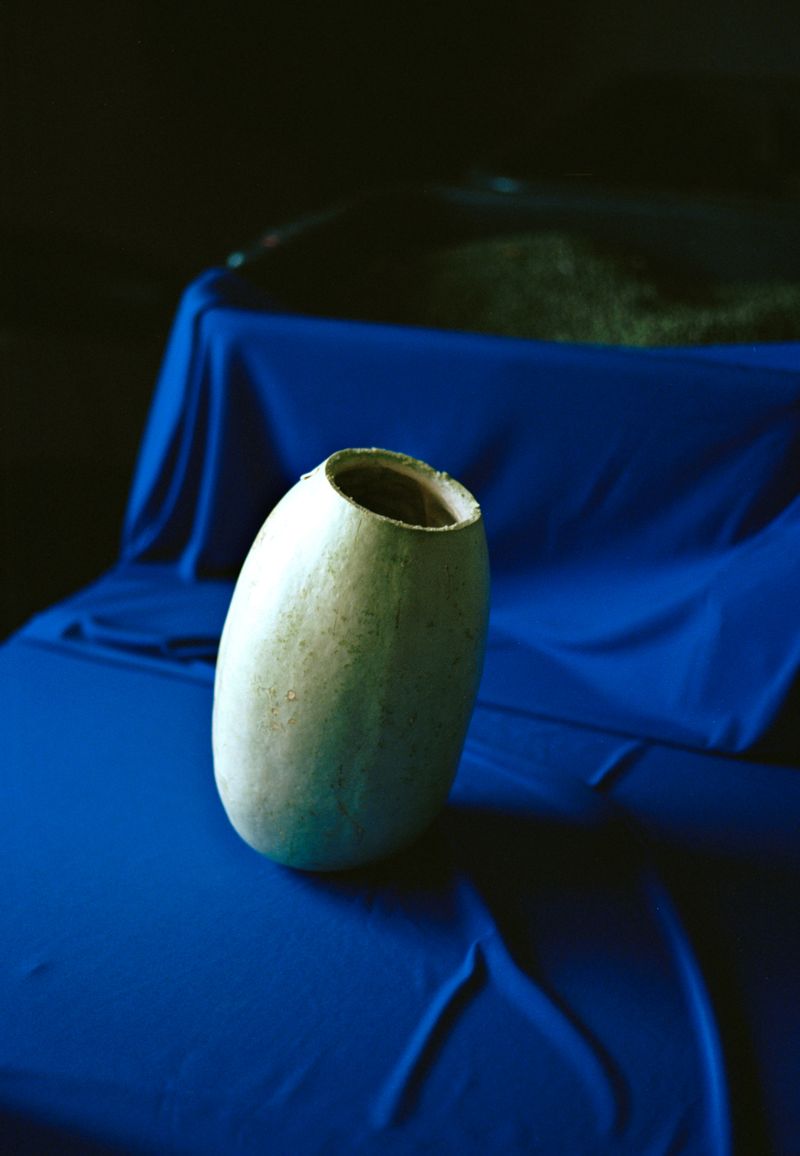 © Alexandra Baumgartner - Image from the How like a leaf I am photography project