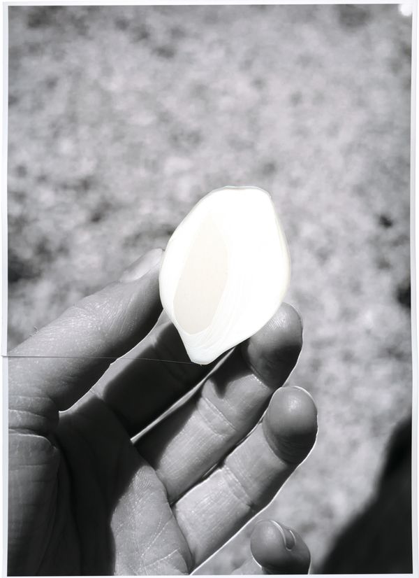 © Alexandra Baumgartner - Image from the How like a leaf I am photography project