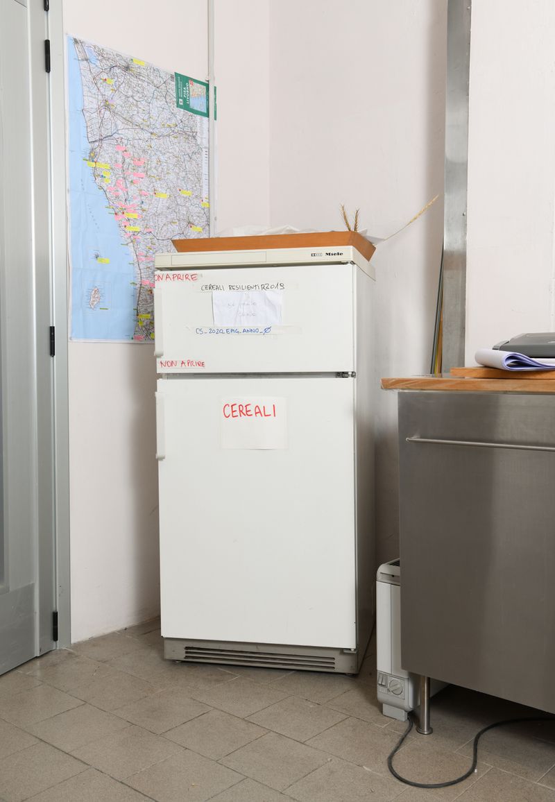 © Alexandra Baumgartner - Image from the How like a leaf I am photography project