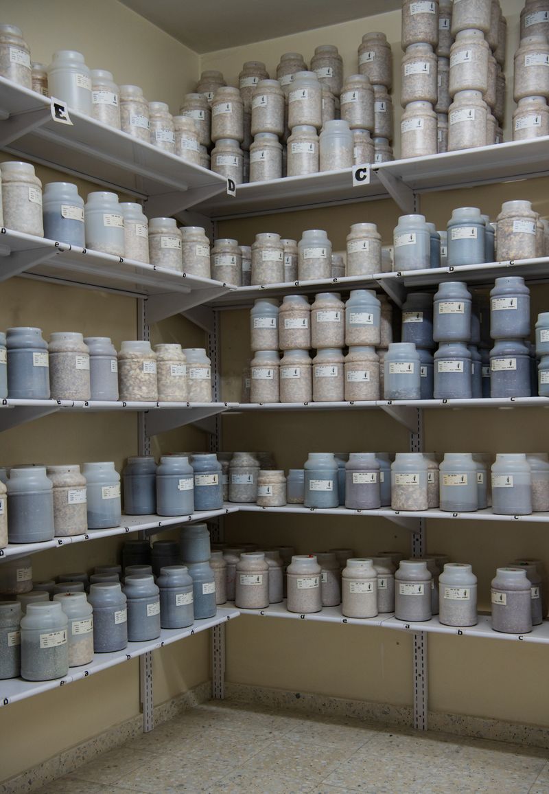 © Alexandra Baumgartner - Seed vault, UAWC Local Seed Bank, Hebron, Palestine.