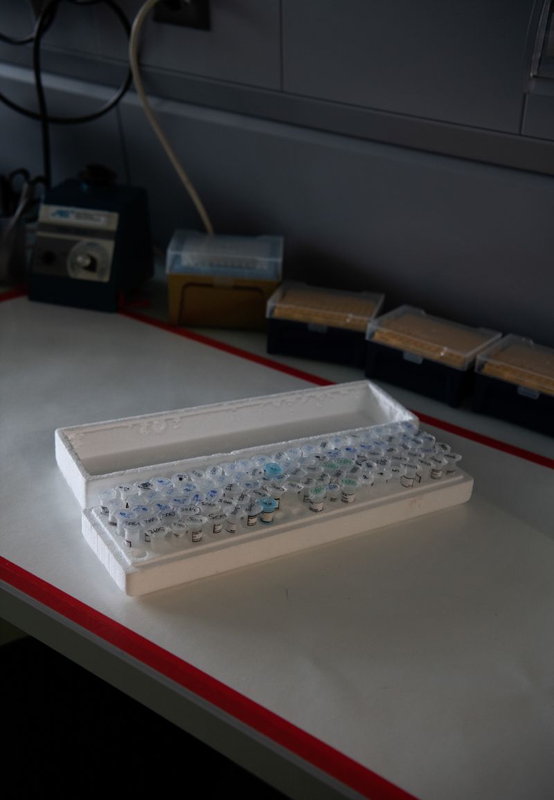 © Alexandra Baumgartner - Image from the How like a leaf I am photography project