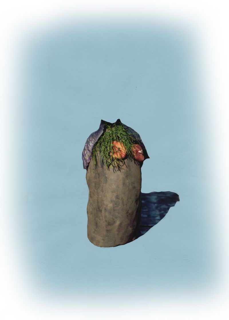 © Alexandra Baumgartner - Little Terrwarrior #2 breaking free.