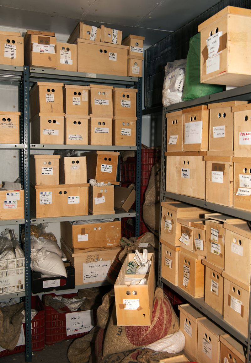 © Alexandra Baumgartner - Seed vault, Arca 2010 Societa Cooperativa, Acerra, Italy.