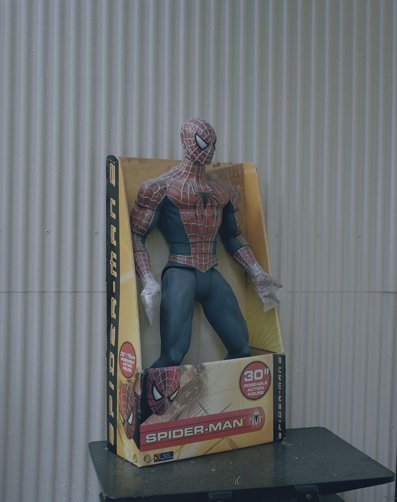 © Elsa Gregersdotter - Spiderman