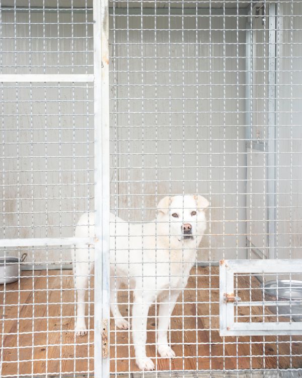 © Fred Mungo - Image from the Good Boys photography project