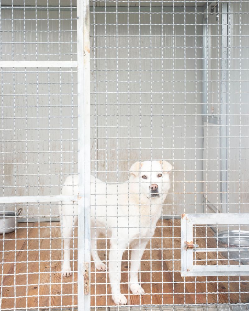 © Fred Mungo - Image from the Good Boys photography project