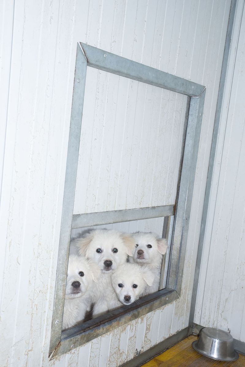 © Fred Mungo - Image from the Good Boys photography project