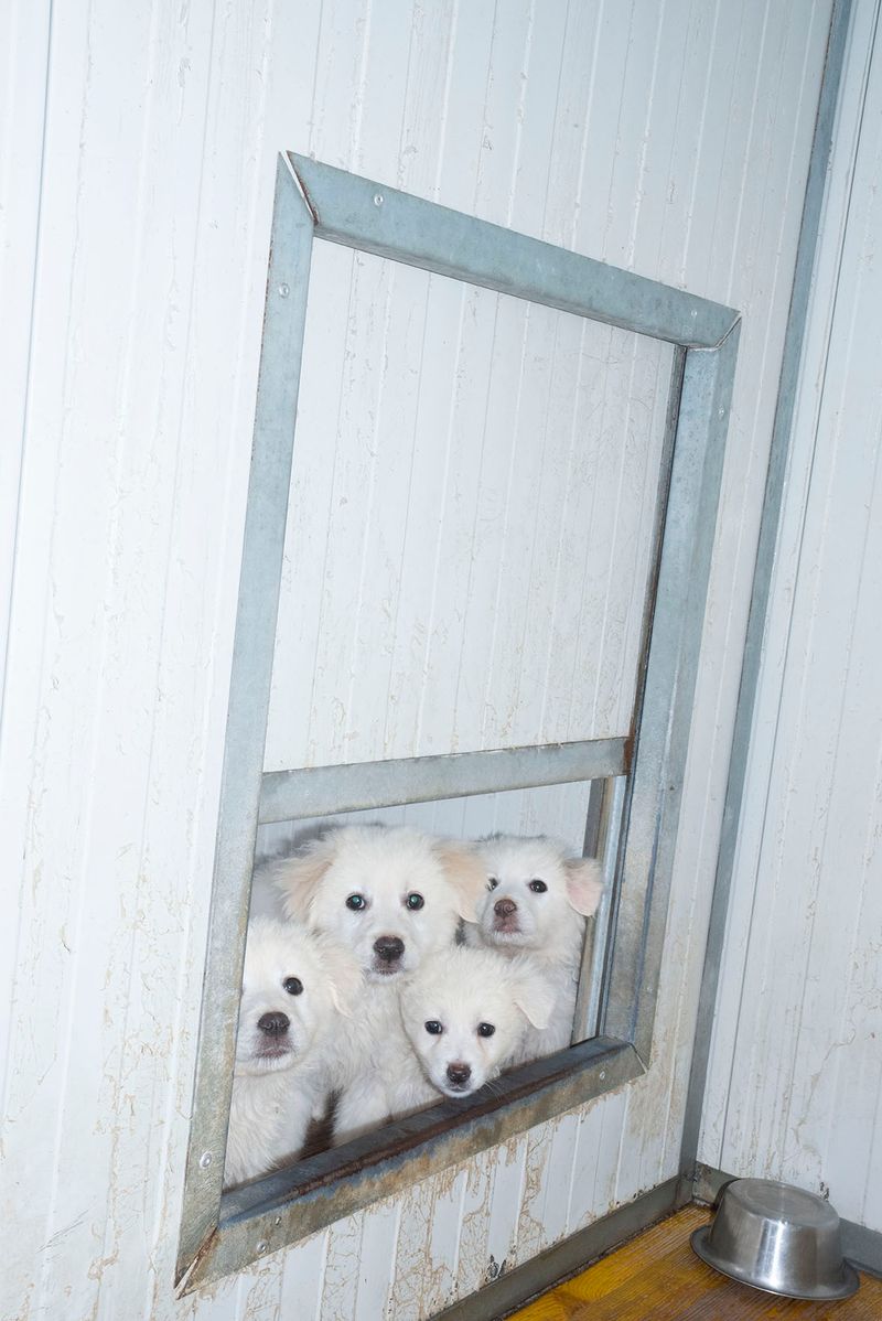 © Fred Mungo - Image from the Good Boys photography project