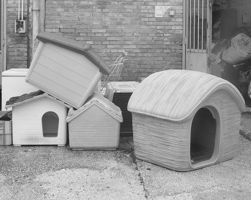 © Fred Mungo - Image from the Good Boys photography project