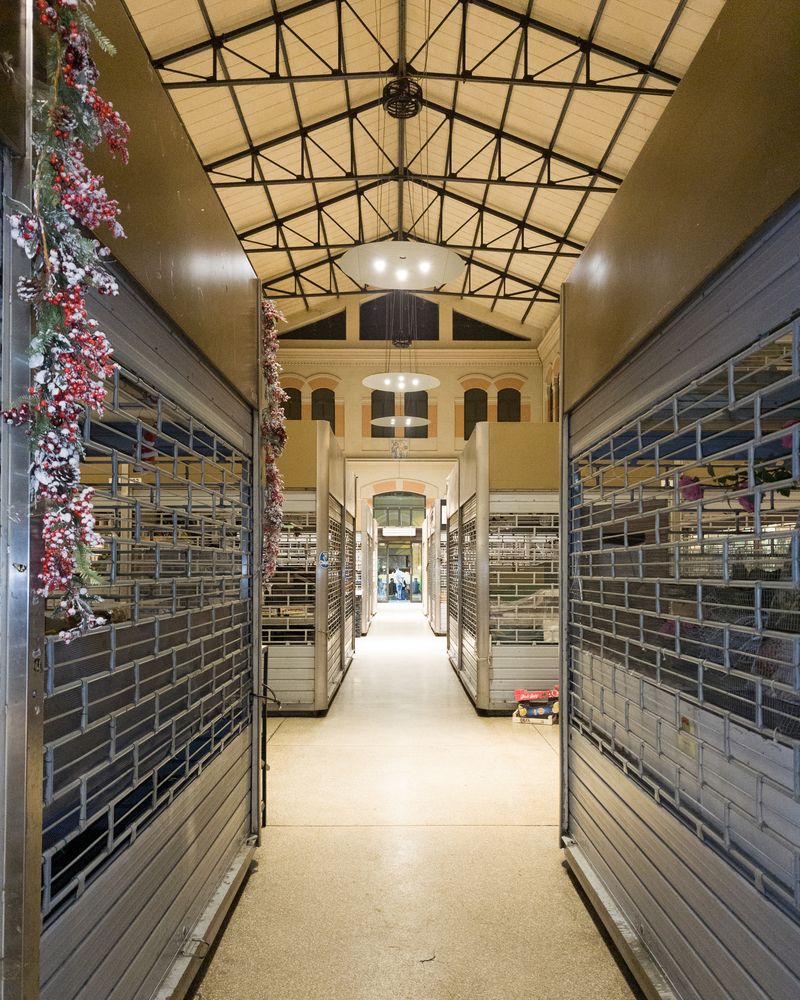 © Fred Mungo - Image from the Young as Bologna photography project