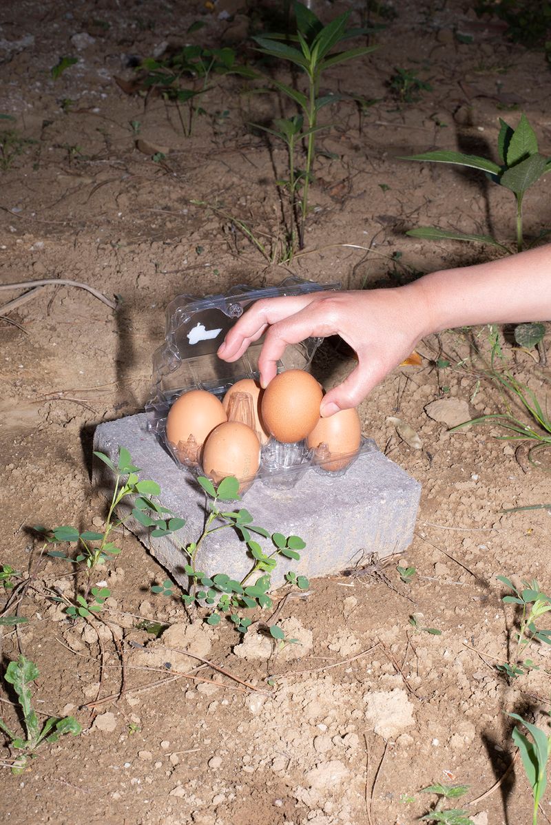 © Fred Mungo - Image from the Table for One photography project