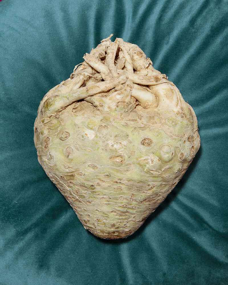 © Fred Mungo - Image from the Table for One photography project
