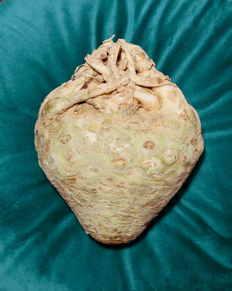 © Fred Mungo - Image from the Table for One photography project