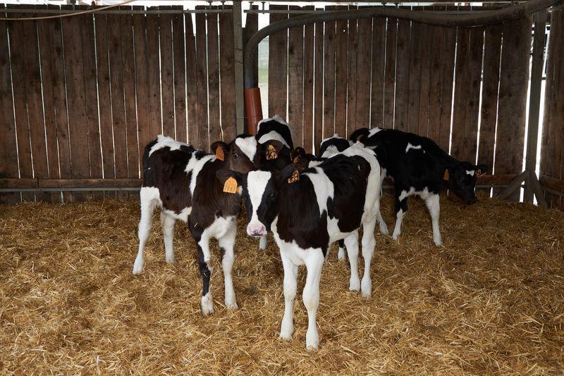 © Fred Mungo - Image from the The milk Issue photography project