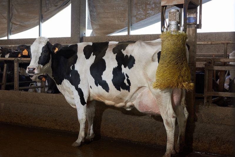 © Fred Mungo - Image from the The milk Issue photography project