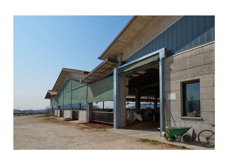 © Fred Mungo - Image from the The milk Issue photography project