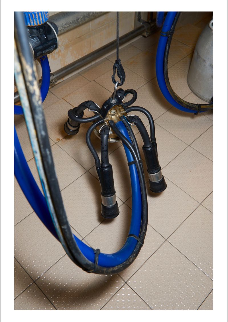 © Fred Mungo - Image from the The milk Issue photography project