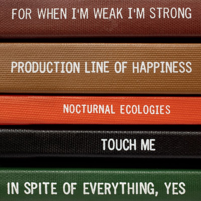 © Jonathan Traviesa - Image from the Rebound Photo Poems, 2024 photography project