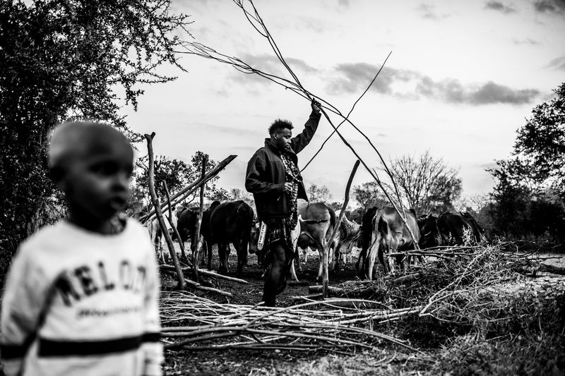 © Carla Kogelman - Stefano and Nikanto