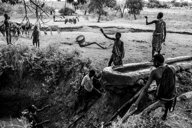 © Carla Kogelman - daily drinking place for the cows