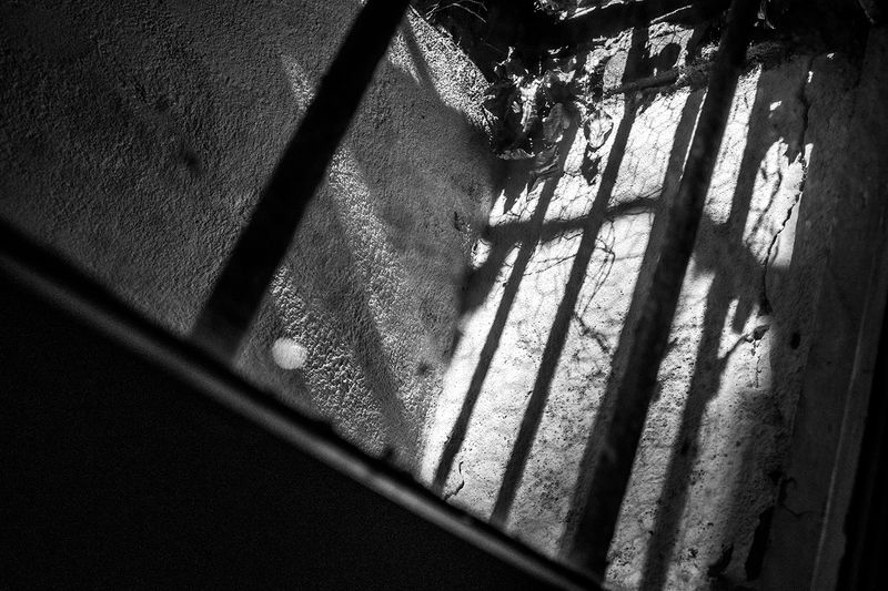 © Carla Kogelman - studio light outside