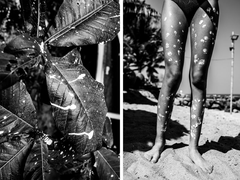 © Carla Kogelman - Image from the Jolodibo - la terre de mon père photography project