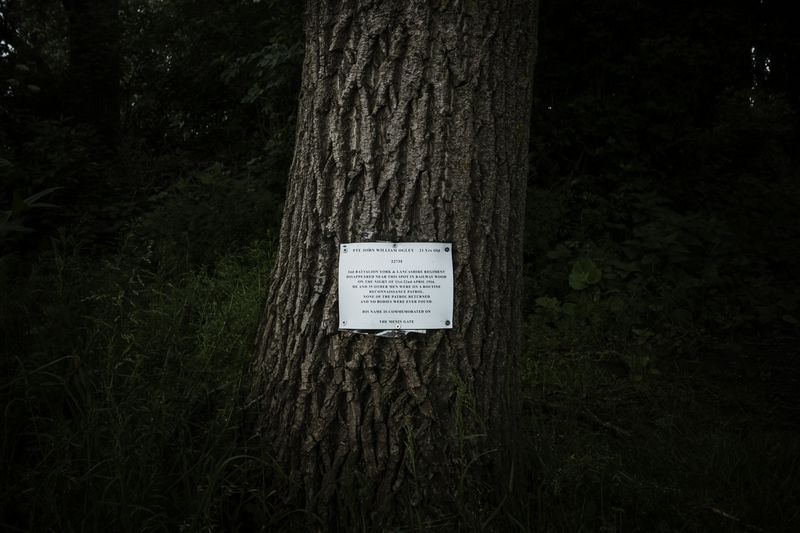 © Michele Spagnolo - Image from the The Salient. photography project