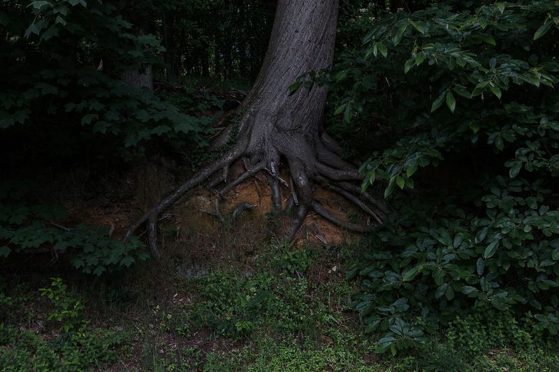 © Michele Spagnolo - Image from the The Salient. photography project