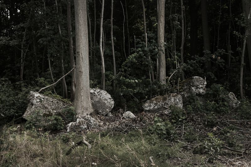 © Michele Spagnolo - Image from the The Salient. photography project