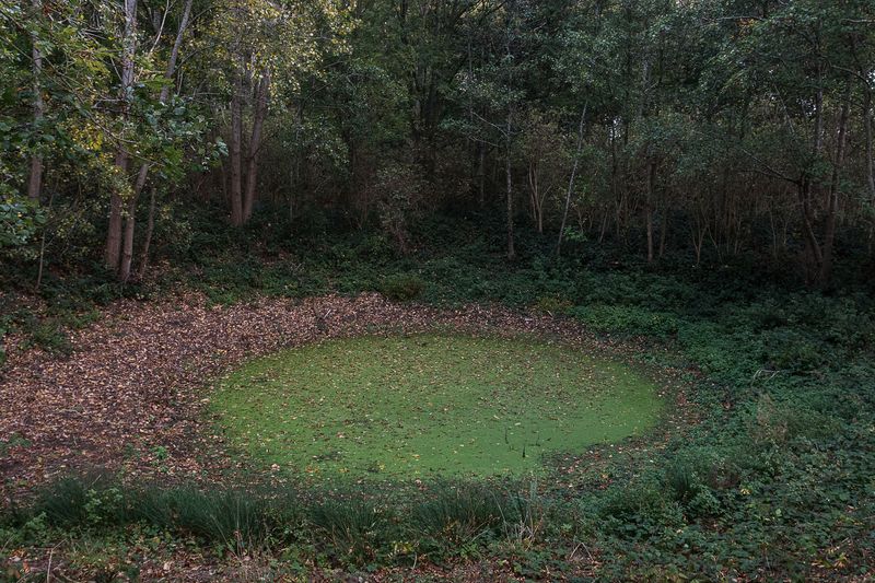 © Michele Spagnolo - Image from the The Salient. photography project