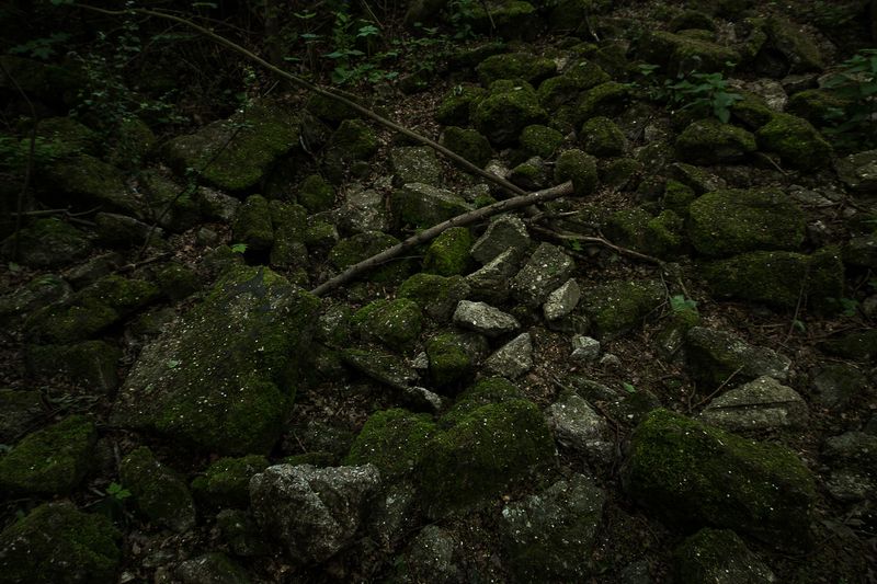 © Michele Spagnolo - Image from the The Salient. photography project