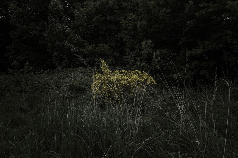 © Michele Spagnolo - Image from the The Salient. photography project