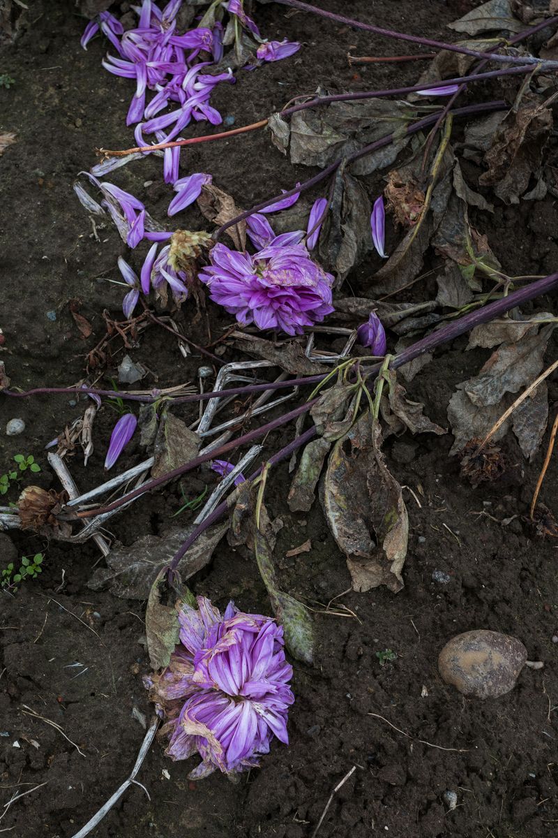 © Michele Spagnolo - Image from the The Salient. photography project