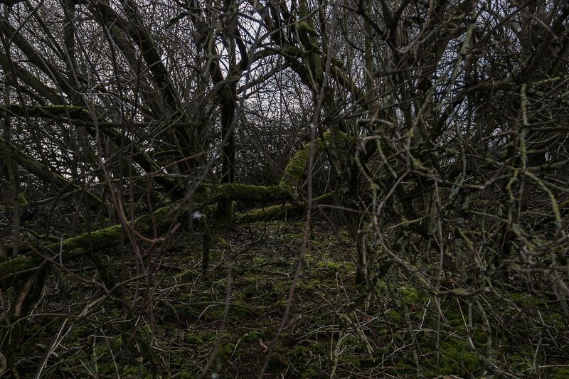 © Michele Spagnolo - Image from the The Salient. photography project