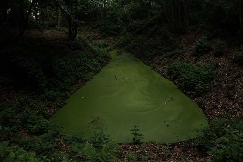 © Michele Spagnolo - Image from the The Salient. photography project