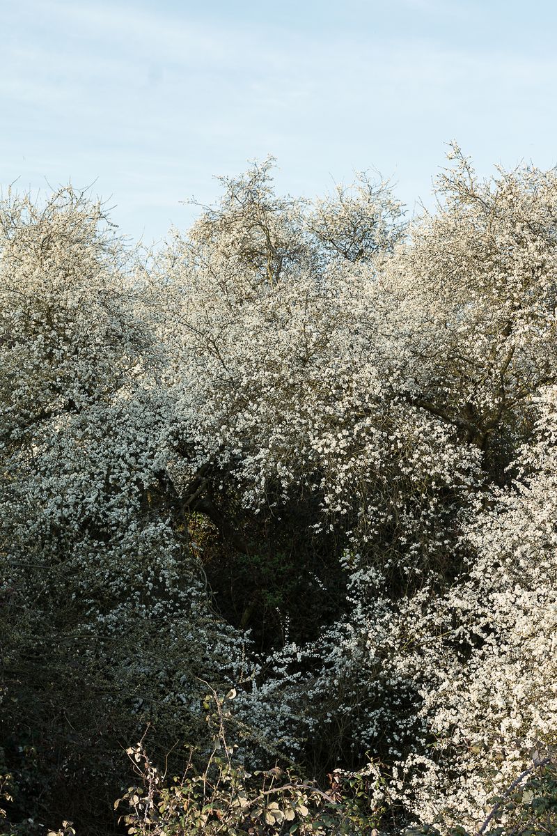 © Michele Spagnolo - Image from the The Salient. photography project