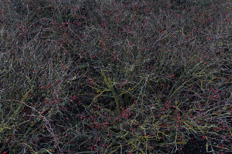 © Michele Spagnolo - Image from the The Salient. photography project