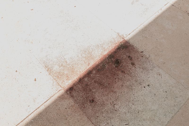 © Michele Spagnolo - Image from the The Salient. photography project