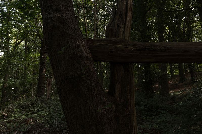 © Michele Spagnolo - Image from the The Salient. photography project