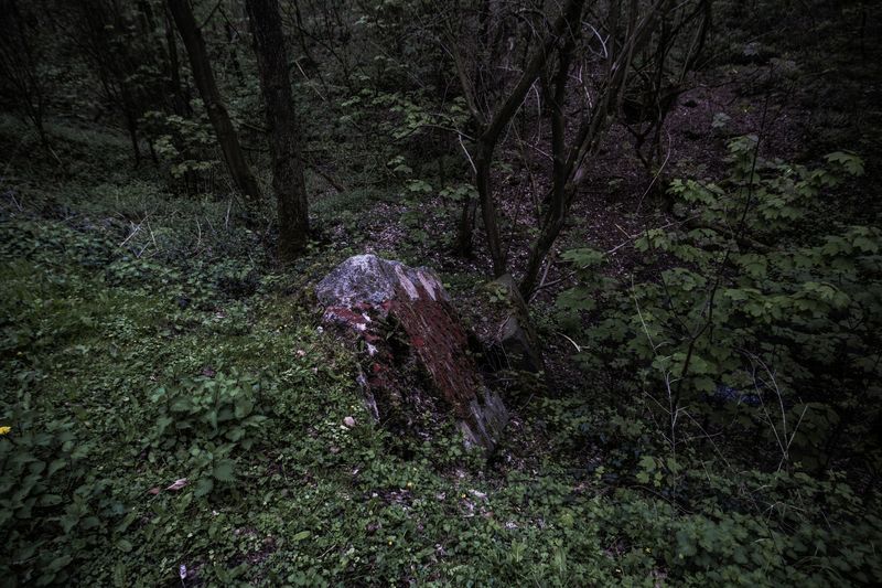 © Michele Spagnolo - Image from the The Salient. photography project