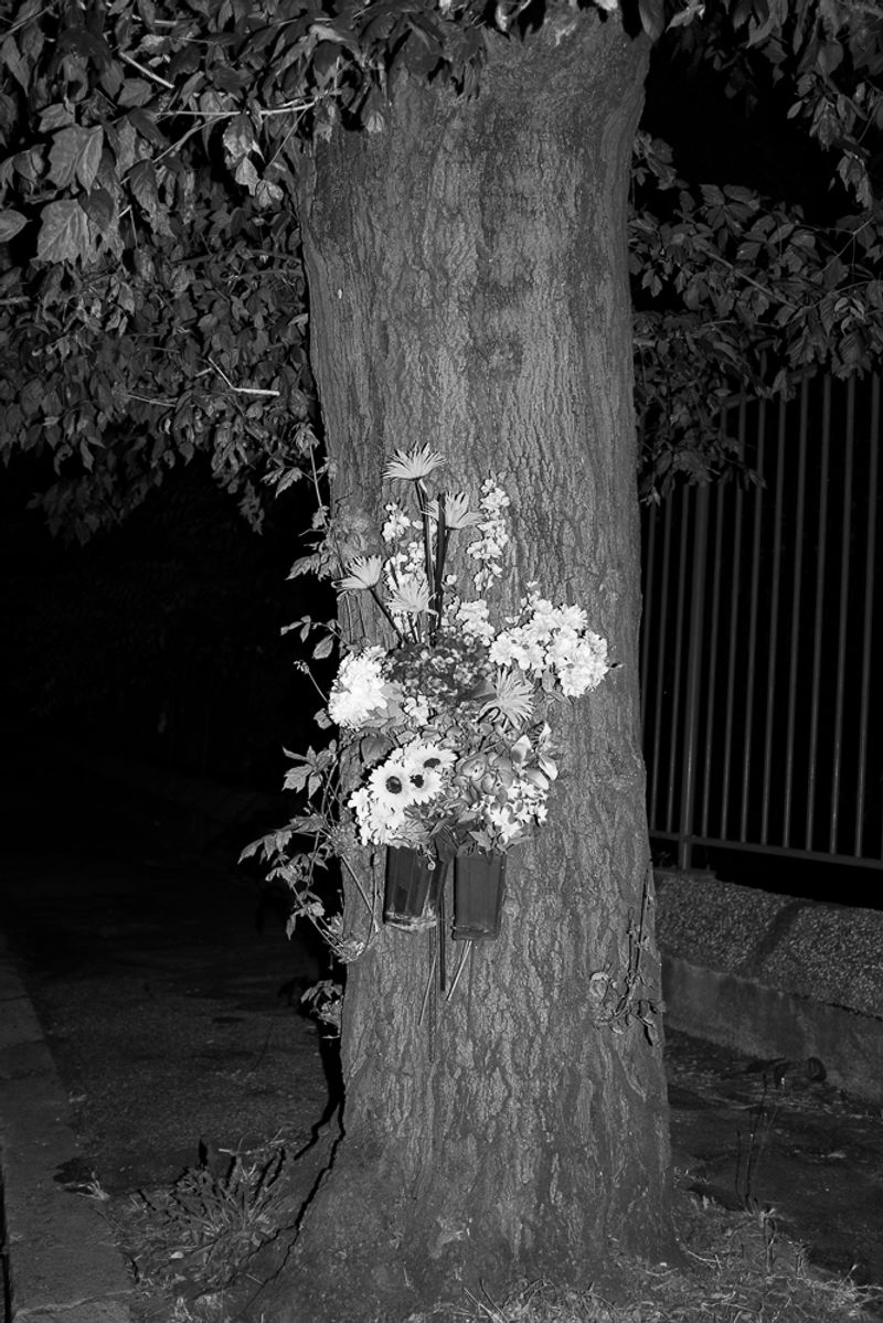 © Kristina Babusci - Image from the Pertra photography project