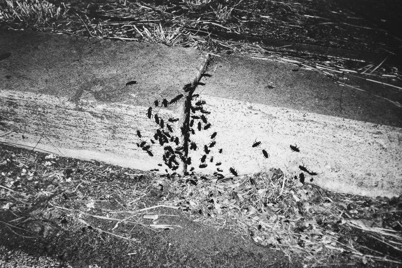 © Kristina Babusci - Image from the Pertra photography project