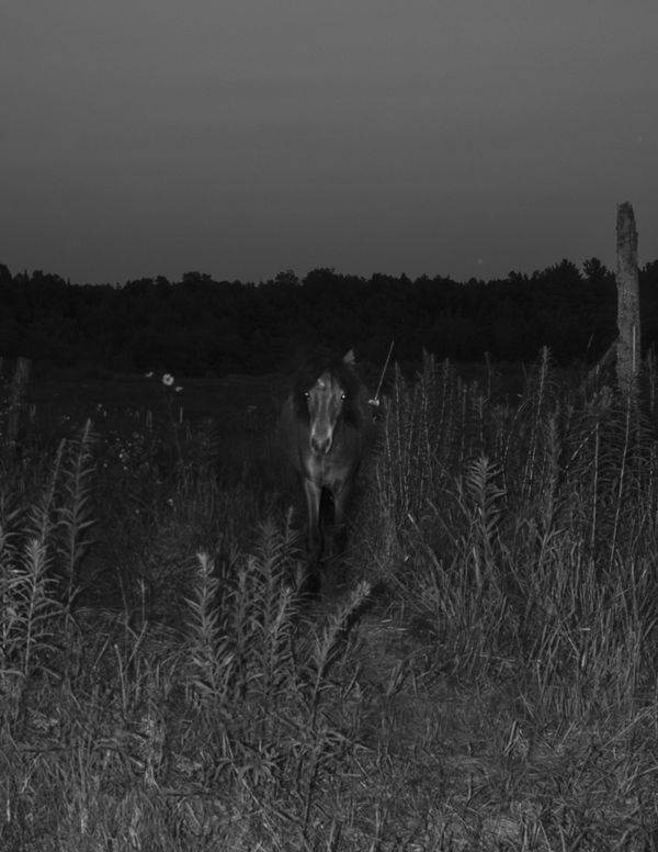 © Lawrence Hardy - Zen Xan Untitled 02