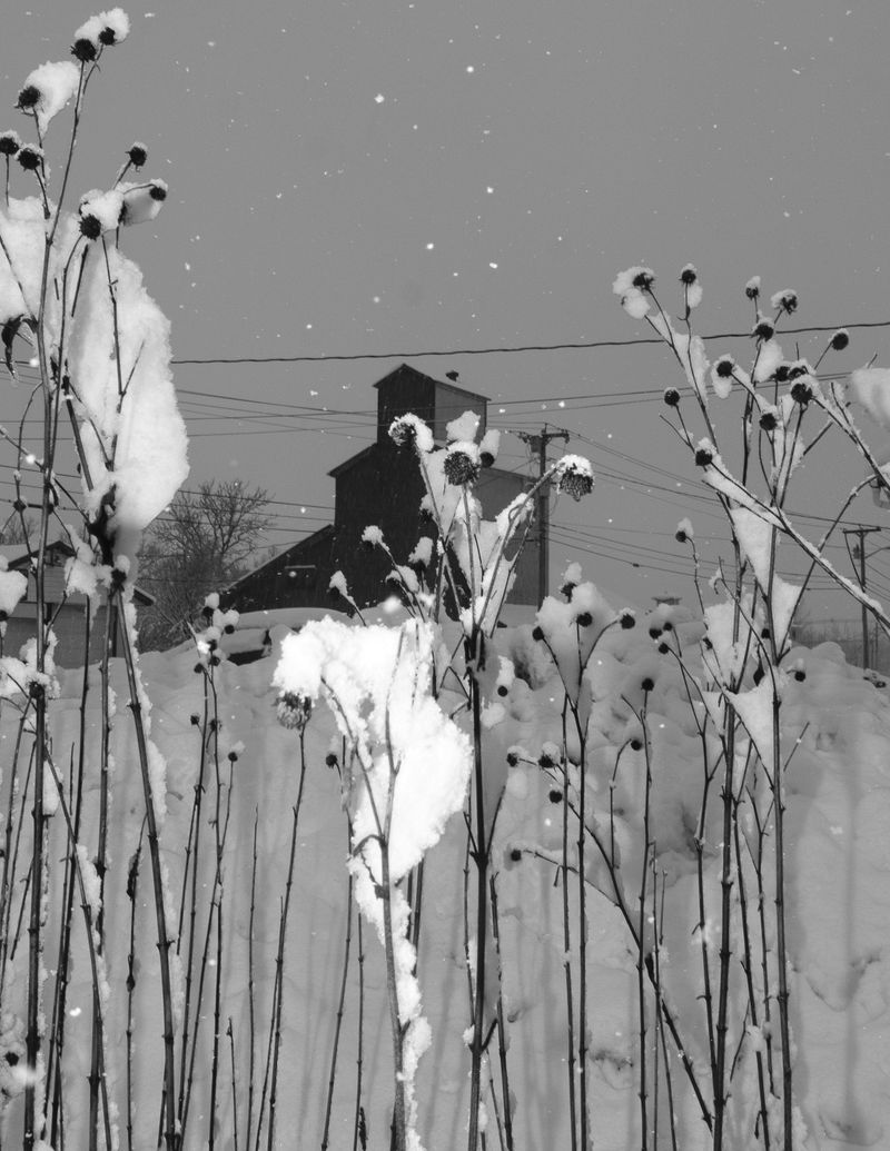 © Lawrence Hardy - Zen Xan Untitled 18