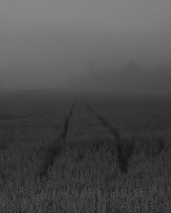 © Lawrence Hardy - Zen Xan Untitled 03
