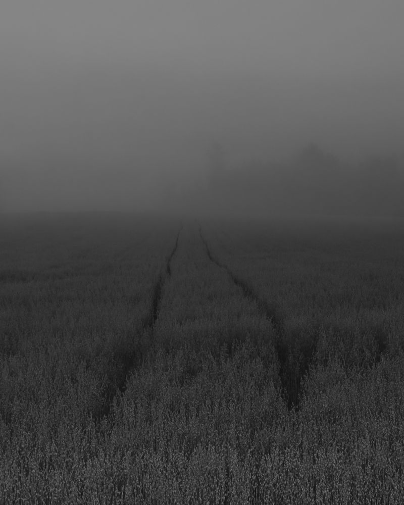 © Lawrence Hardy - Zen Xan Untitled 03
