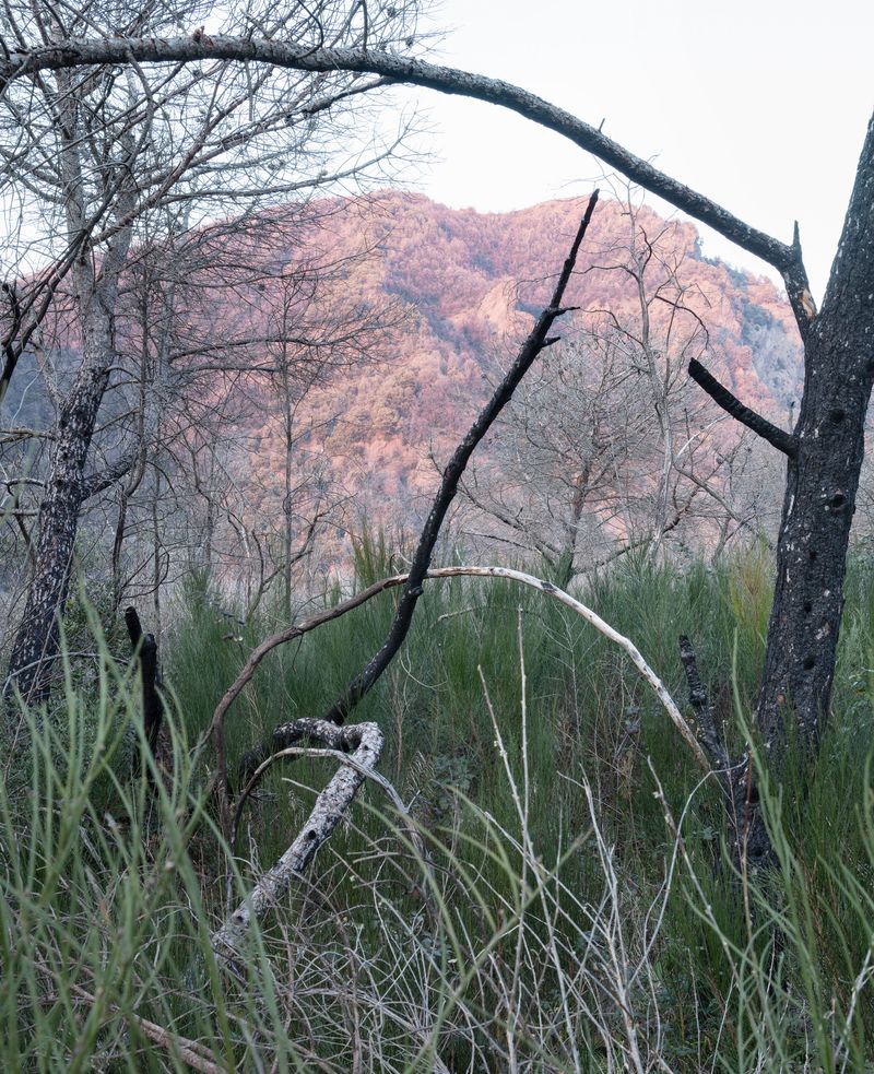 © Michiel De Cleene - Image from the Amidst The Fire, I Am Not Burnt – Surface Reading photography project