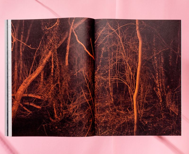 © Michiel De Cleene - Image from the Reference Guide photography project